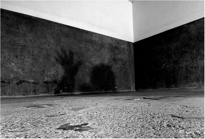 Copyright Stefano Maselli